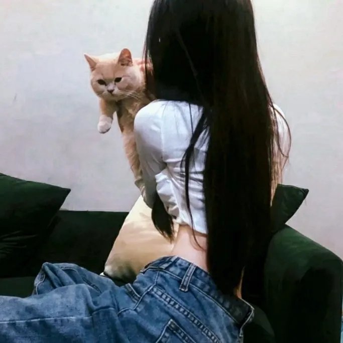 13小时